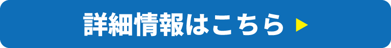 詳細について